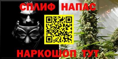 тгк Ставрополь