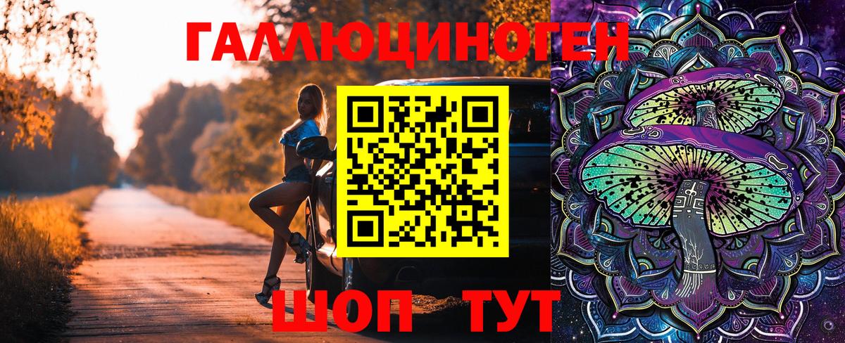 Новочебоксарск  Галлюциногенные грибы GOLDEN TEACHER  Галлюциногенные грибы GOLDEN TEACHER  Вход с VPN 