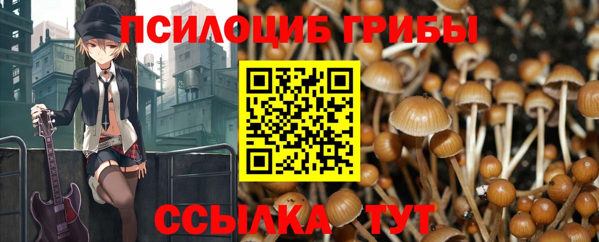 Псилоцибиновые грибы Magic Shrooms Новочебоксарск